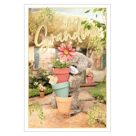 Wonderful Grandma Photo Finish Me to You Bear Mother's Day Card £2.49